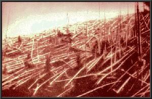 Tunguska catastrophe
